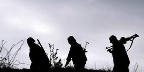 Bitlis'te 4 PKK'l etkisiz hale getirildi