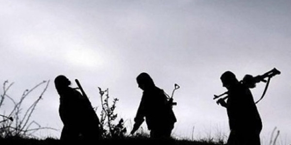 Bitlis'te 4 PKK'lı etkisiz hale getirildi