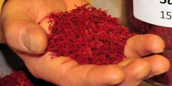 'Safran'ın kilosu 15 bin lira
