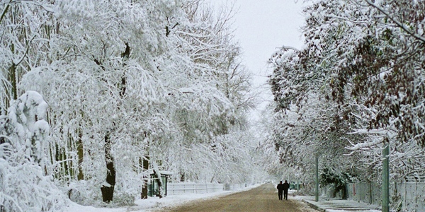 Trakya Üniversitesi yarın tatil