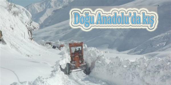 Doğu Anadolu'da kış