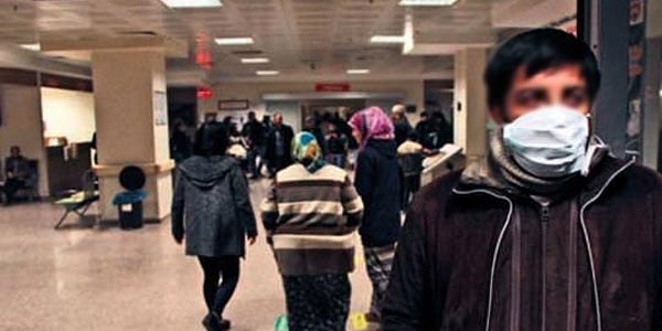 Domuz gribi hortladı