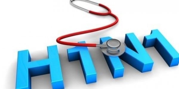 H1N1 virüsü salgın boyutunda değil