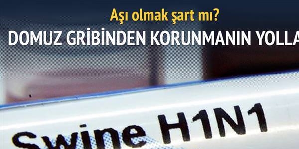 Domuz gribin'den korunmak: Aşı ol, hijyene dikkat et