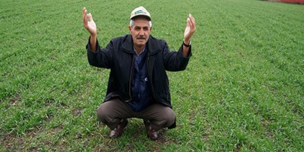 Çiftçinin kar ve yağmur sevinci