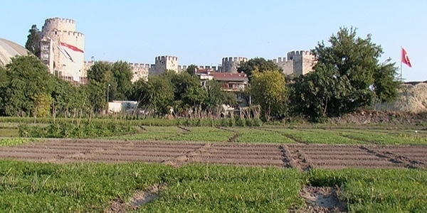 Yedikule Bostanları'ndaki seralar yıkıldı