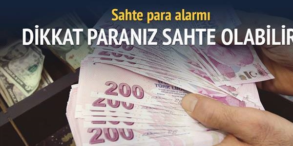 Sahte para şebekesi çökertildi