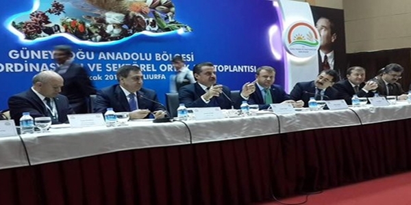 Çelik: Kullanalım ama bedelini de ödeyelim