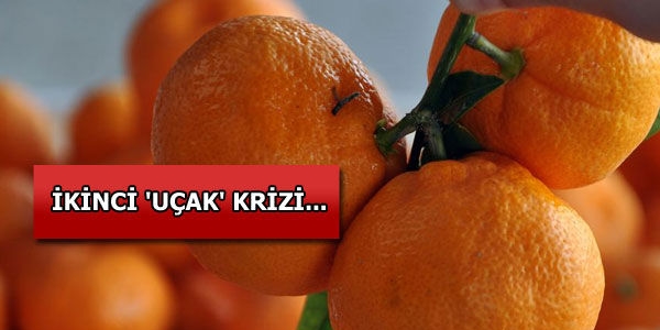 'Uçak mandalina' Rusya'dan döndü