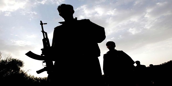 Hakkari'de 2 PKK'lı teslim oldu