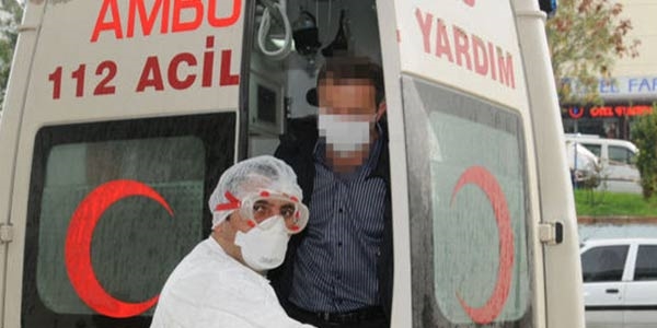 Giresun'da domuz gribi alarmı