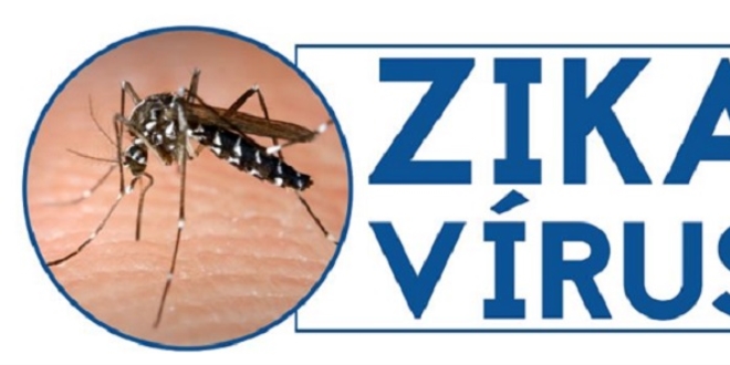 Dünyayı korkutan Zika Virüsü