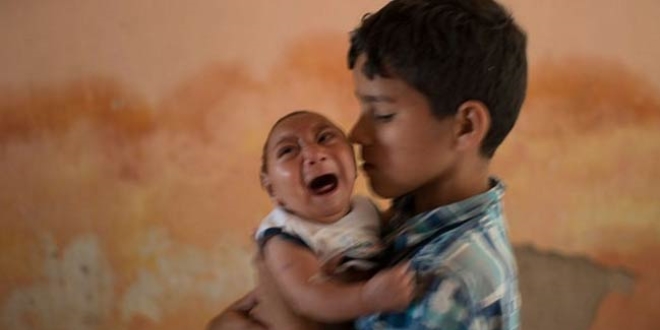 Zika virüsünün nedeni küresel ısınma mı?