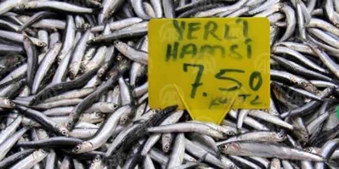 Tezgahlarda hamsi bereketi