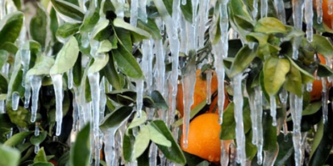 Meteorolojiden zirai don ve buzlanma uyars