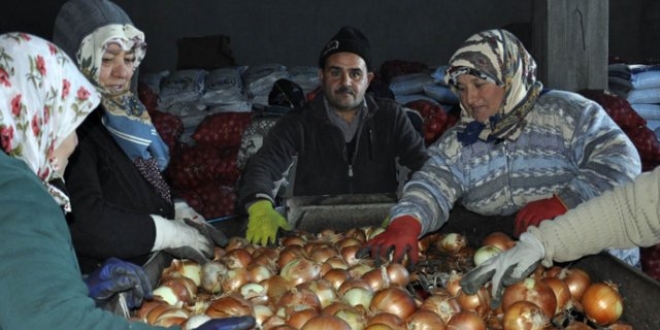 Spekülatörler soğanı saklıyor