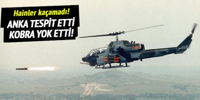 ANKA tespit etti, Kobralar bombaladı!