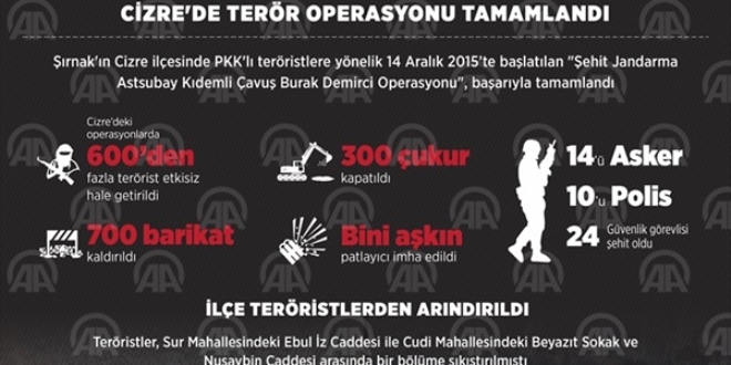 Cizre'de terör operasyonu tamamlandı