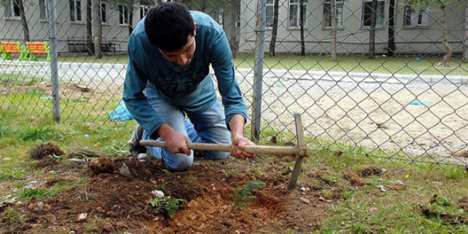 Cezalarını çalışarak tamamlayıp ekonomiye katkı sağladılar