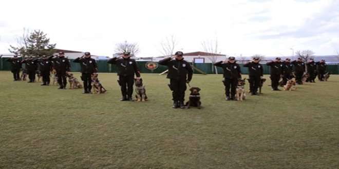 Emniyet'e 18 patlayıcı madde arama görev köpeği katıldı