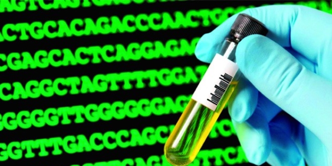 Biyolojik süper bilgisayar test edildi