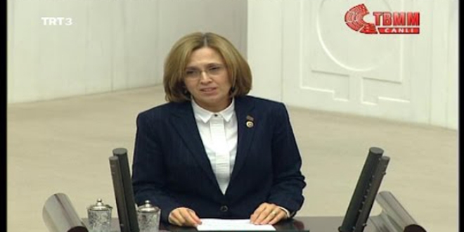 'Şehit ailelerine araç alımında ÖTV muafiyeti uygulansın'