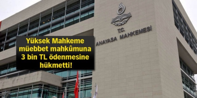 Devlet, vegan mahküma 3 bin TL tazminat ödeyecek