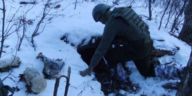 Bingl'de PKK'ya ait 3 snak bulundu