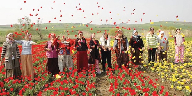30 milyon lale erken açtı