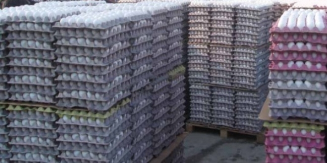 Tam 5 milyon adet bozuk yumurta ele geçirildi