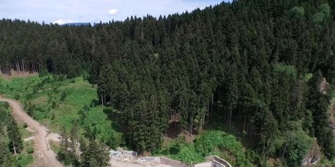 Cerattepe'de altına değil bakır madenine izin verdik