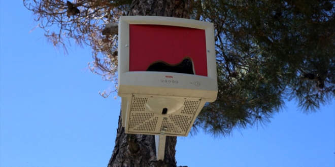 Okulun kullanılmayan monitörleri kuş yuvası oldu