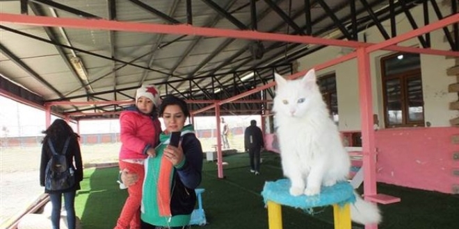İranlı turistler Van'ın 'meşhurları'nın peşinde