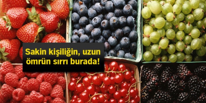 Fonksiyonel gıda mucizesi