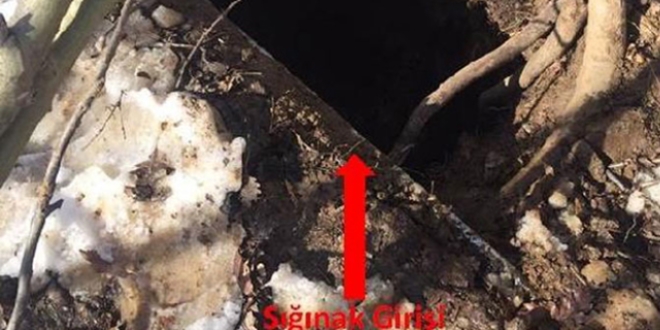 Muş'ta 4 odalı PKK sığınağı bulundu