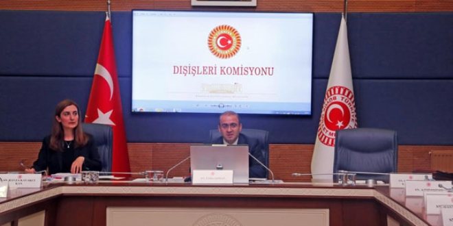 Vize muafiyeti'nde 3 kanun tasarısı kabul edildi