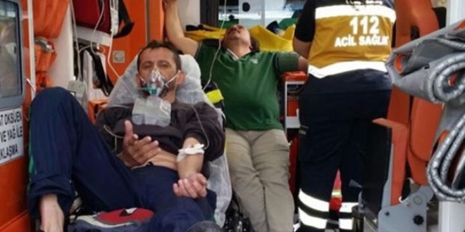 Ege Denizi'nde zehirli balon balığı uyarısı