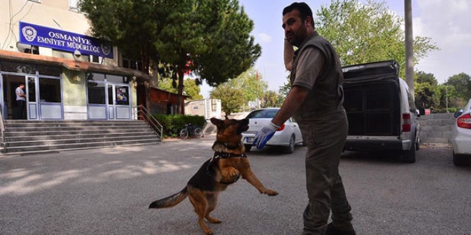 'Crazy' uyuşturucuya geçit vermiyor