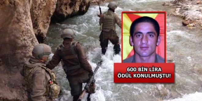 Başına ödül konulan terörist Sefkan Dersim öldürüldü
