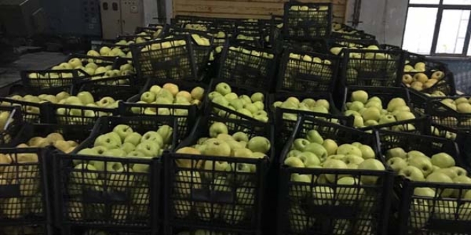 Isparta'dan Siirt Emniyetine bir kamyon elma gönderildi