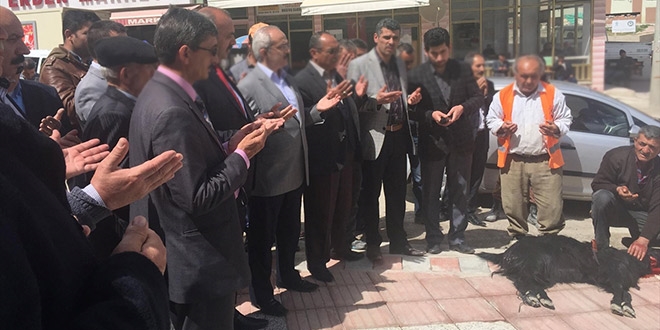 Trafik kazası geçiren belediye başkanı için kurban kestiler