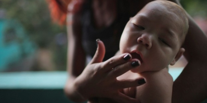 Zika virüsüne elverişli bölgelerin haritalandırılması