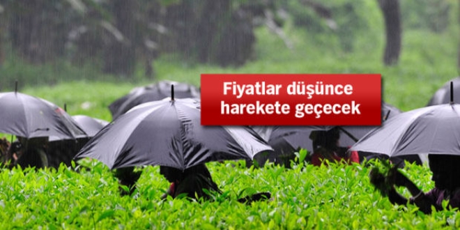 Bazı ürünler para etmezse kooperatif el atacak