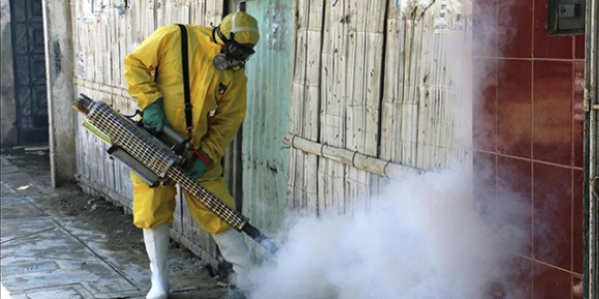 Zika virüsü daha da tehlikeli olabilir