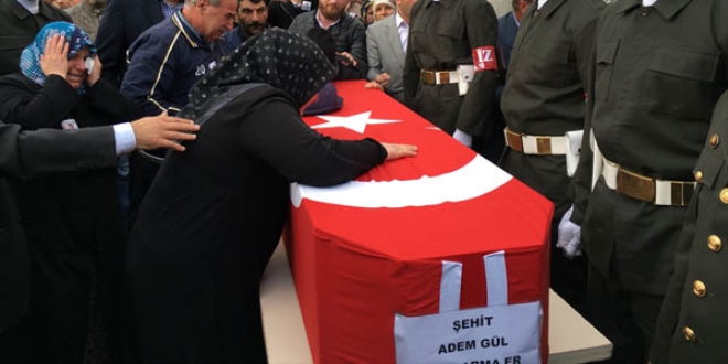Bitlis'te ehit olan asker topraa verildi