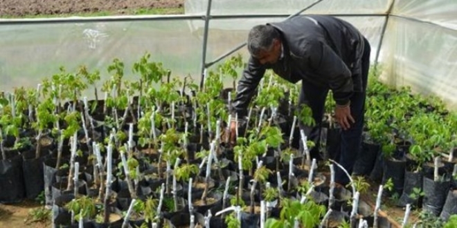 Devletten aldığı hibeyle gen bahçesi kuracak