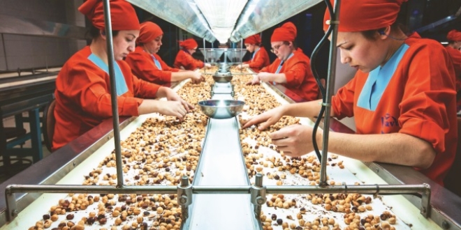 Türkiye'nin ilk fındık borsası
