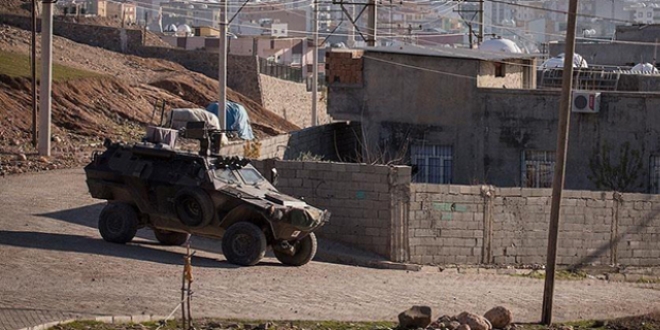 Şırnak ve Nusaybin'de öldürülen terörist sayısı 773'e yükseldi