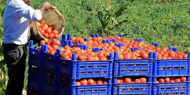 'Türkiye'den ithal edilen ürünler tamamen yasaklanmayacak'