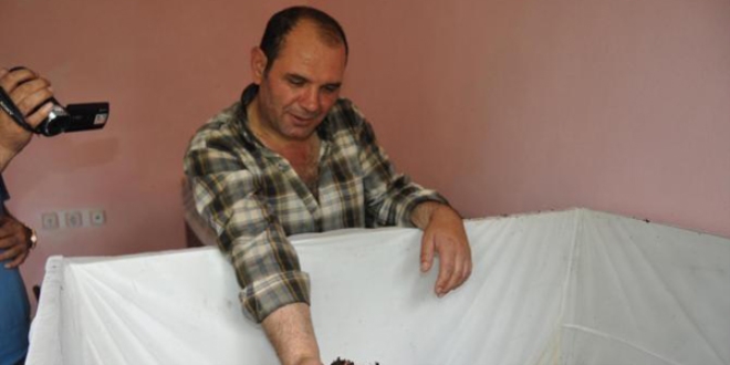 Güvenlik görevlisi işi bırakıp solucan gübresi işine başladı